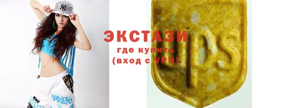соль ск Вяземский