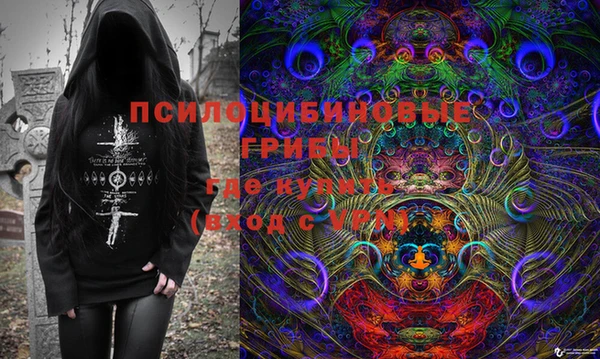 соль ск Вяземский