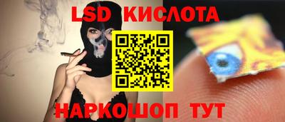 амф Кандалакша