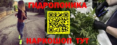 первитин Камышлов