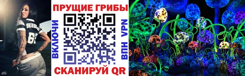 Псилоцибиновые грибы Psilocybe  где купить наркоту  Ноябрьск 