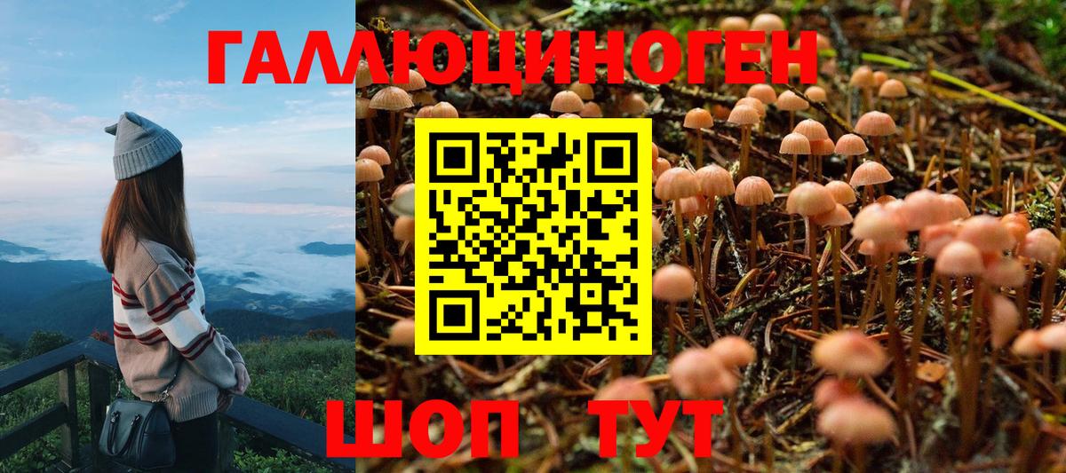 Псилоцибиновые грибы прущие грибы  Галлюциногенные грибы Magic Shrooms  Ноябрьск  дарнет шоп  Вход с VPN 