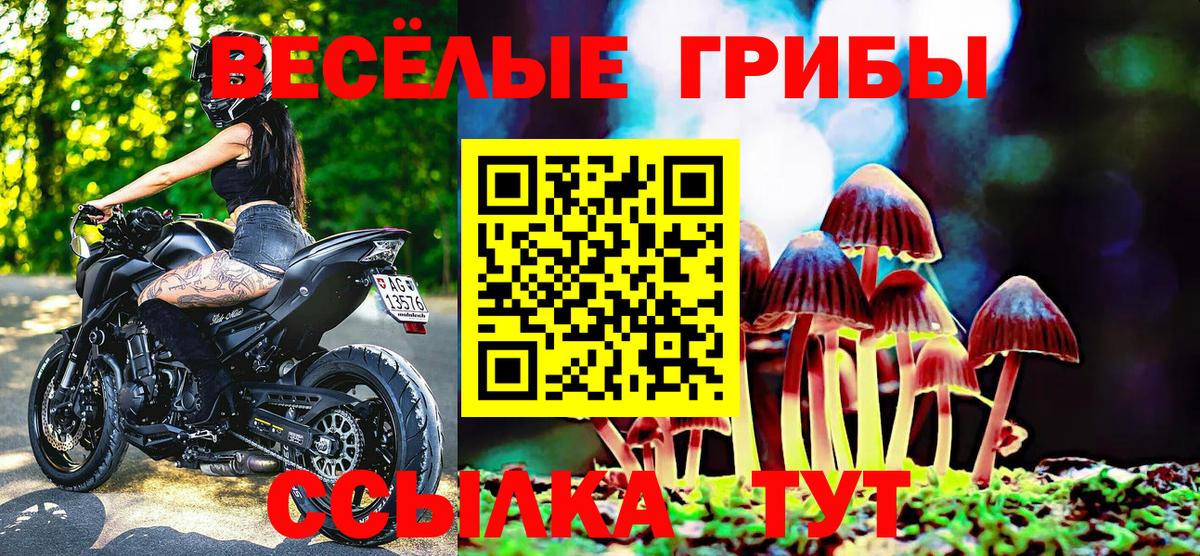 Псилоцибиновые грибы Cubensis Ноябрьск